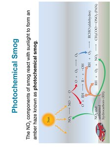 Photochemical smog formation diagram