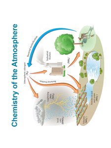 Nitrogen cycle diagram