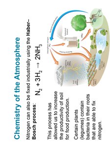 Haber-Bosch process and nitrogen cycle