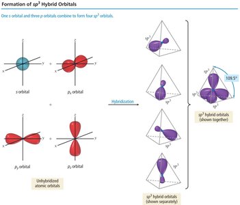 sp3 hybridization