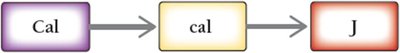 Calorie to joule conversion map