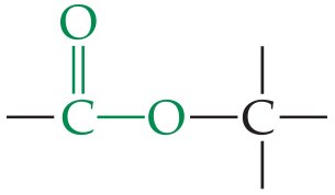 Ester functional group