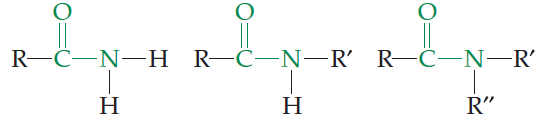 Amide functional group