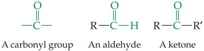 Carbonyl, aldehyde, and ketone groups