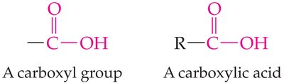 Carboxyl group and carboxylic acid