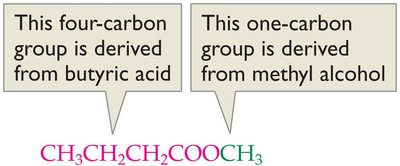 Ester naming example