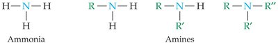 Amines and ammonia structures