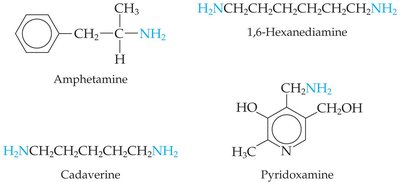 Examples of amines