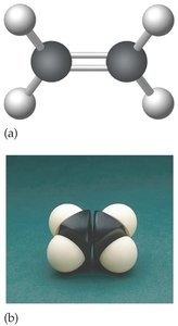Ethylene molecule