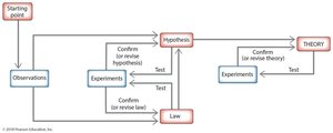 Flowchart of the scientific method