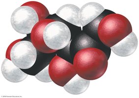 Molecular model of fructose
