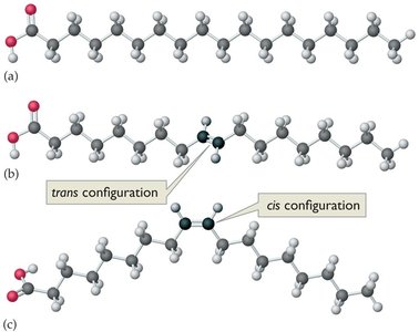 Saturated, cis, and trans unsaturated fats