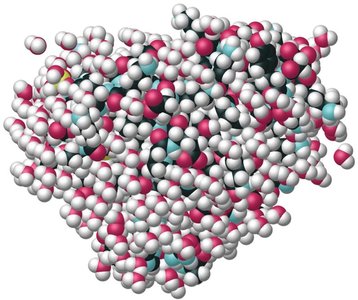 Space-filling model of a protein