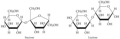 Structures of sucrose and lactose