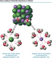 How sodium chloride dissolves in water