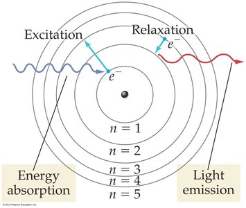 Bohr model showing excitation and relaxation of an electron