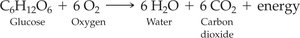 Respiration equation