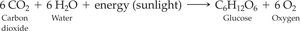 Photosynthesis equation