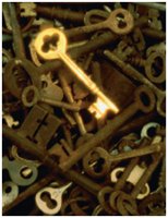 Gold key among corroded keys