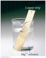 Mg2+ does not oxidize copper