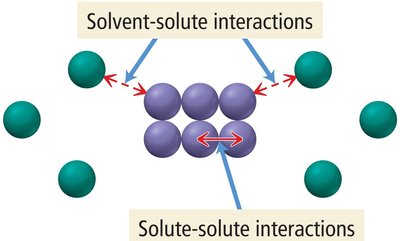 Solute-solute and solvent-solute interactions