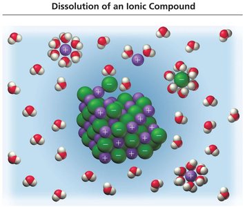 Dissolution of an ionic compound