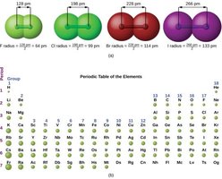 Covalent radii and periodic table trends