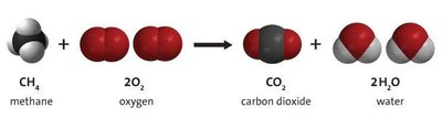 Methane combustion reaction