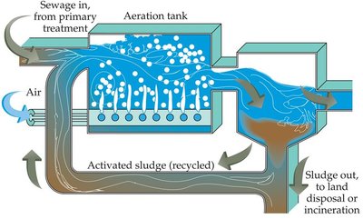 Diagram of activated sludge method in wastewater treatment