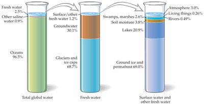 Distribution of global, fresh, and surface water