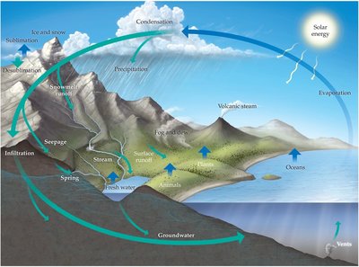 Diagram of the water cycle