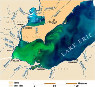 Map showing eutrophication in Lake Erie