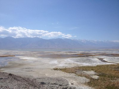 Salt deposits in desert