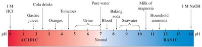 The pH scale with common substances