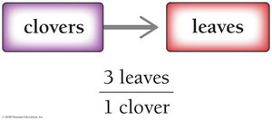 Conversion map: clovers to leaves