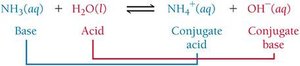 Brønsted–Lowry acid-base reaction: NH3 and H2O