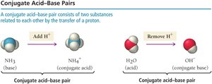 Conjugate acid-base pairs: NH3/NH4+ and H2O/OH-