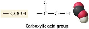 Carboxylic acid group structure