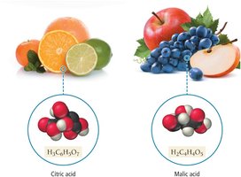 Citric acid and malic acid in fruits