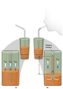 Diagram showing pressure differences in a straw