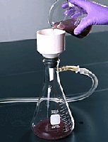 Suction filtration setup