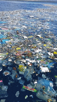 Plastic pollution in the ocean as an example of environmental impact