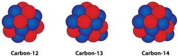 Models of carbon isotopes: Carbon-12, Carbon-13, Carbon-14