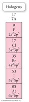 Halogens in the periodic table