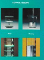 Surface tension comparison between water and mercury