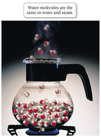 Water molecules are the same in water and steam