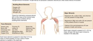 Diagram of elements in the human body