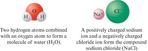 Water molecule and sodium chloride ion diagram