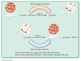 Diagram of heat energy absorbed and released in phase changes