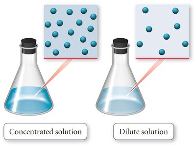 Concentrated vs. dilute solution